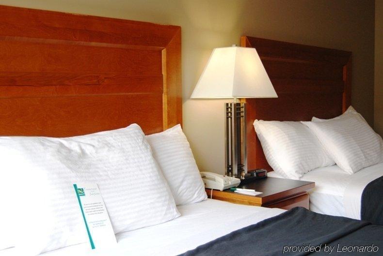 Quality Inn West Edmonton Zimmer foto